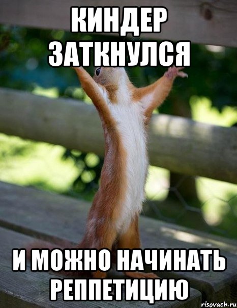 киндер заткнулся и можно начинать реппетицию, Мем    белка молится