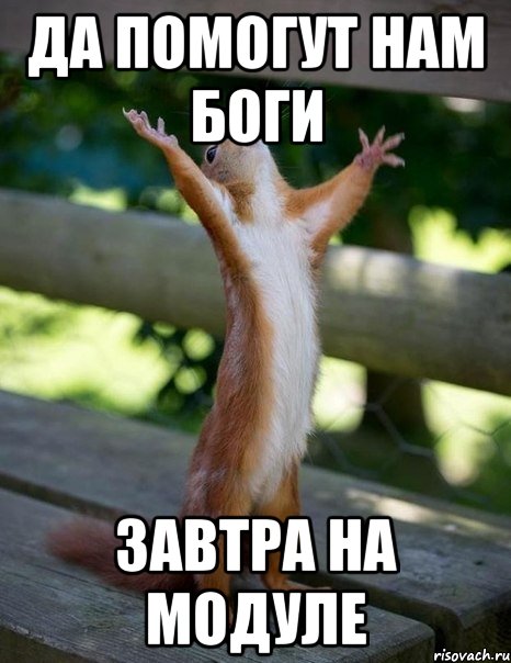 да помогут нам боги завтра на модуле, Мем    белка молится