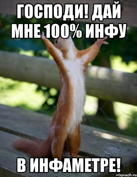 господи! дай мне 100% инфу в инфаметре!, Мем    белка молится