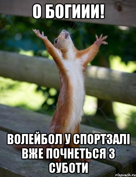 о богиии! волейбол у спортзалі вже почнеться з суботи, Мем    белка молится