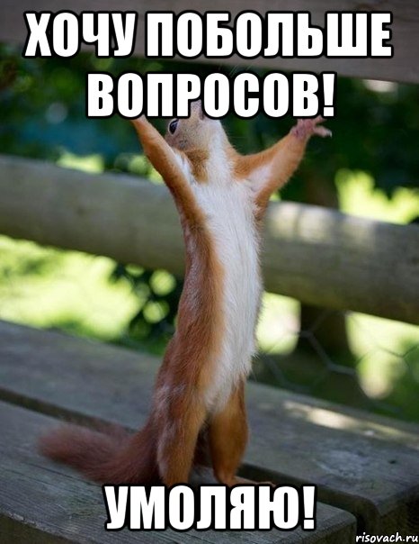 хочу побольше вопросов! умоляю!