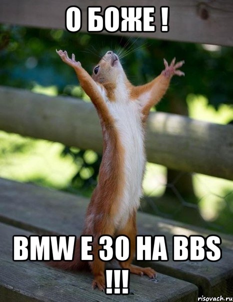 о боже ! bmw e 30 на bbs !!!, Мем    белка молится