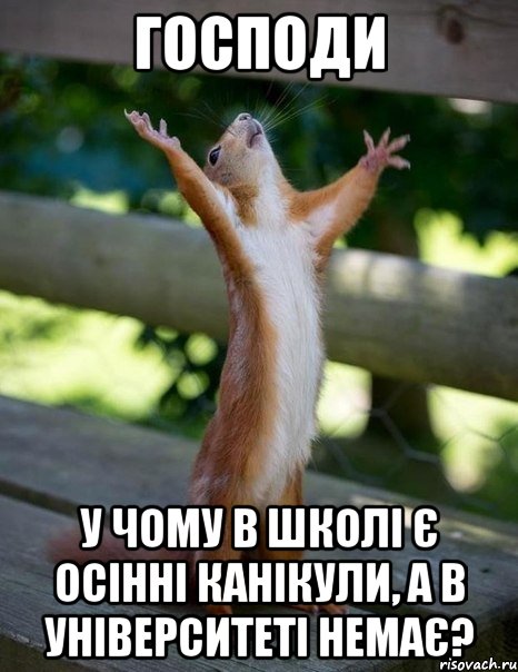 господи у чому в школі є осінні канікули, а в університеті немає?, Мем    белка молится