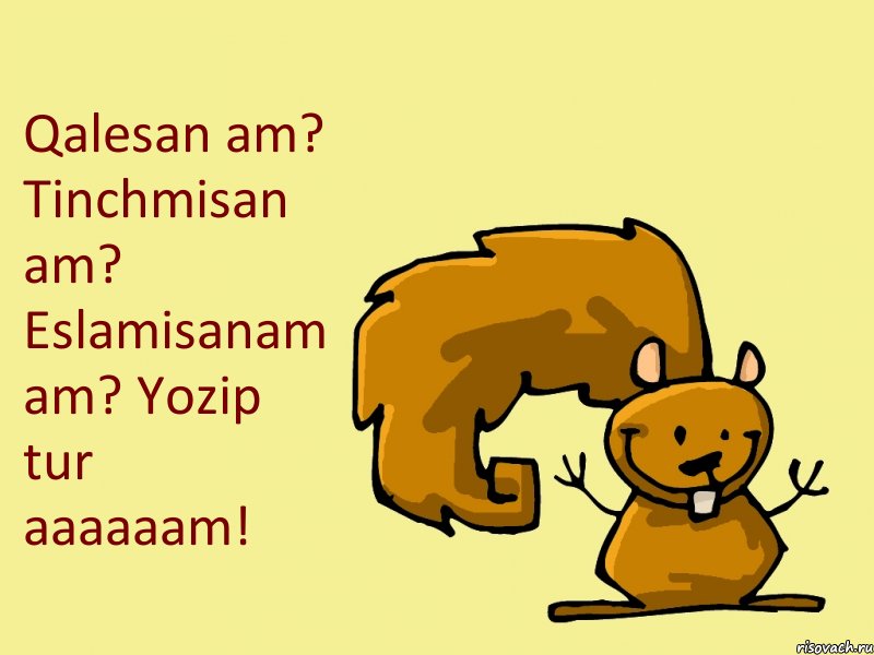 Qalesan am? Tinchmisan am? Eslamisanam am? Yozip tur aaaaaam!