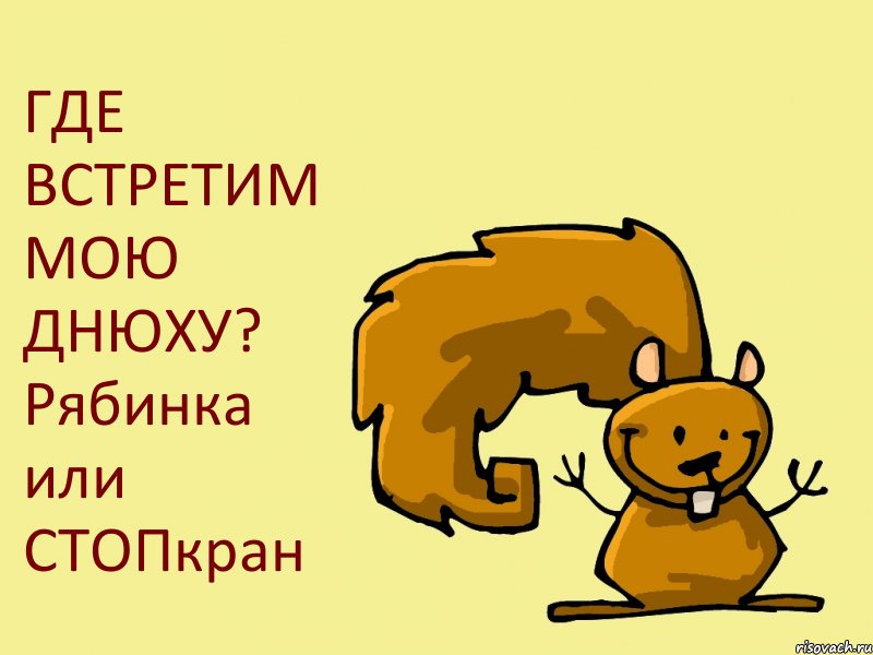 ГДЕ ВСТРЕТИМ МОЮ ДНЮХУ? Рябинка или СТОПкран, Комикс  белка