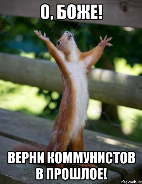 о, боже! верни коммунистов в прошлое!, Мем    белка молится