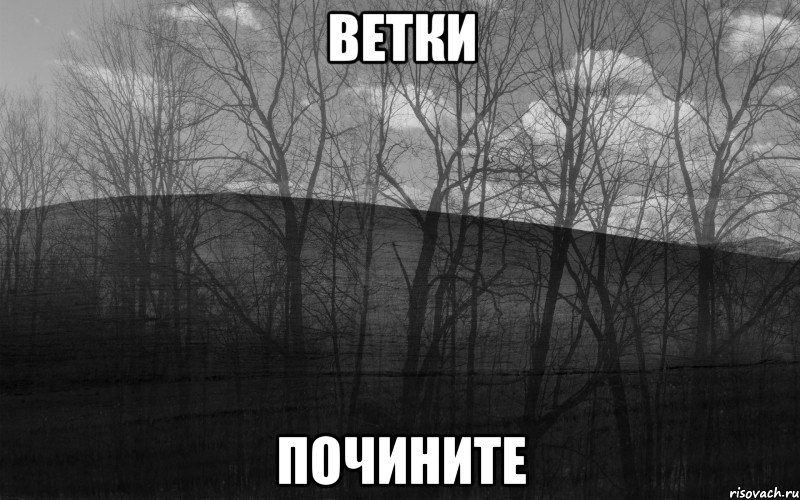 ветки почините, Мем безысходность лес