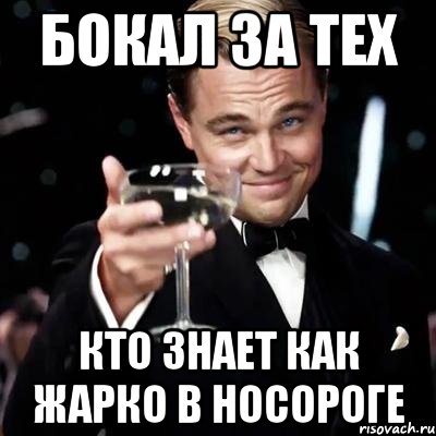 бокал за тех кто знает как жарко в носороге, Мем Великий Гэтсби (бокал за тех)