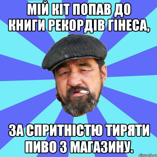 мій кіт попав до книги рекордів гінеса, за спритністю тиряти пиво з магазину., Мем Бомж флософ