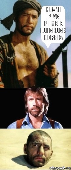 Nu-mi plac filmele lui Chuck Norris , Комикс саид и чак