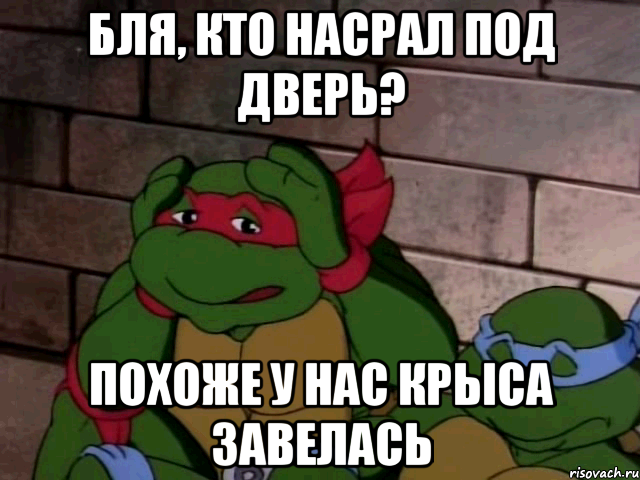 бля, кто насрал под дверь? похоже у нас крыса завелась, Мем  Черепашки ниндзя - ебаный стыд