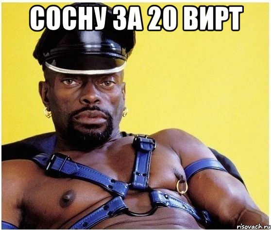 сосну за 20 вирт , Мем Черный властелин