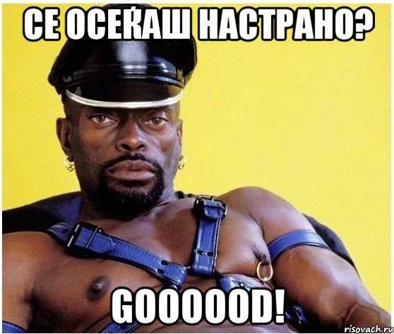 се осеќаш настрано? goooood!, Мем Черный властелин