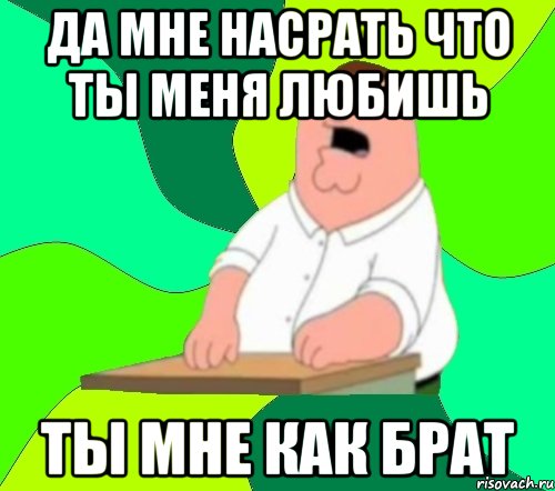 да мне насрать что ты меня любишь ты мне как брат