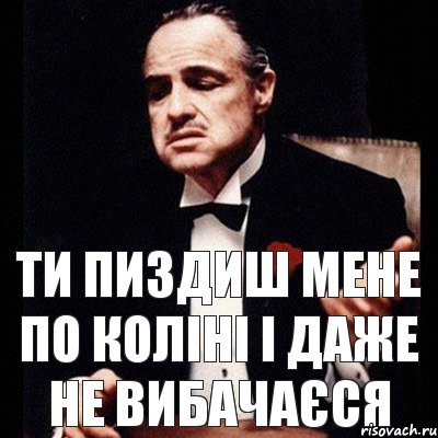 ти пиздиш мене по коліні і даже не вибачаєся, Комикс Дон Вито Корлеоне 1