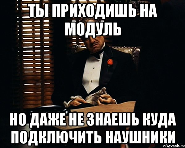 ты приходишь на модуль но даже не знаешь куда подключить наушники, Мем Дон Вито Корлеоне