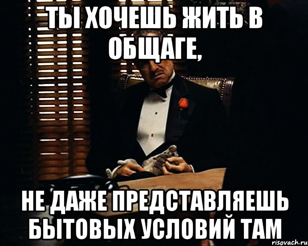 ты хочешь жить в общаге, не даже представляешь бытовых условий там, Мем Дон Вито Корлеоне