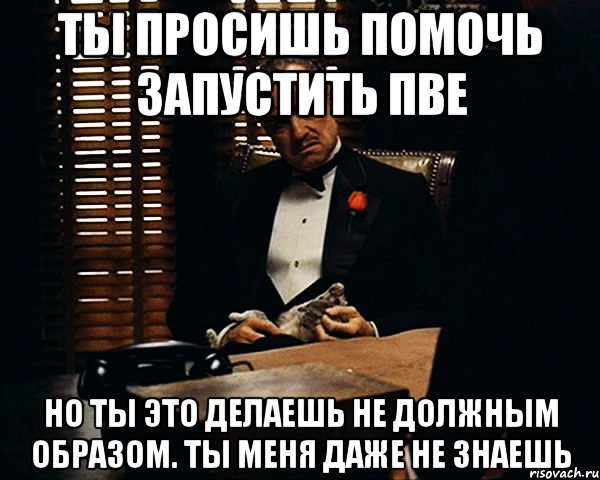 ты просишь помочь запустить пве но ты это делаешь не должным образом. ты меня даже не знаешь, Мем Дон Вито Корлеоне