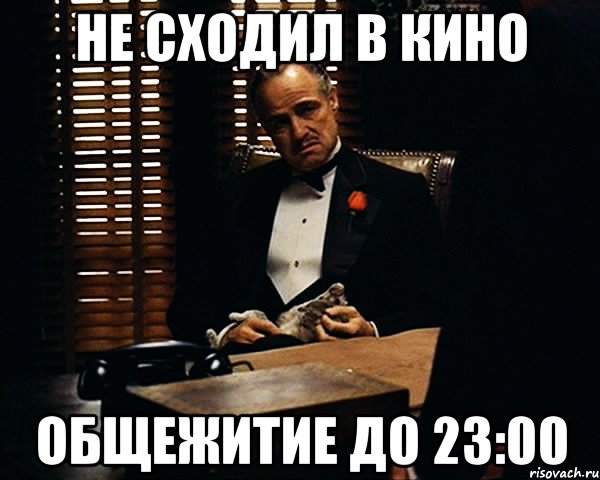 не сходил в кино общежитие до 23:00, Мем Дон Вито Корлеоне