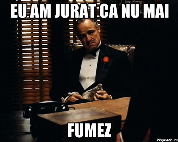 eu am jurat ca nu mai fumez, Мем Дон Вито Корлеоне