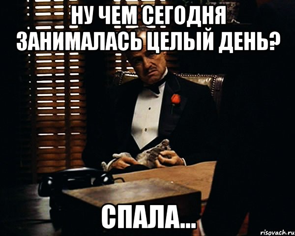 ну чем сегодня занималась целый день? спала...