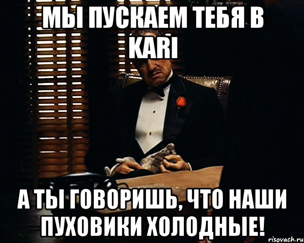 мы пускаем тебя в kari а ты говоришь, что наши пуховики холодные!, Мем Дон Вито Корлеоне