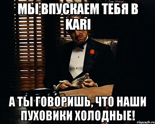 мы впускаем тебя в kari а ты говоришь, что наши пуховики холодные!, Мем Дон Вито Корлеоне