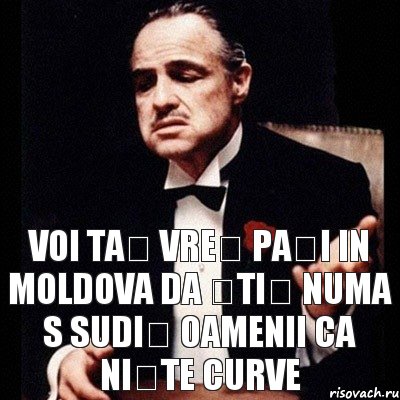 voi taț vreș pași in moldova da știț numa s sudiț oamenii ca niște curve, Комикс Дон Вито Корлеоне 1