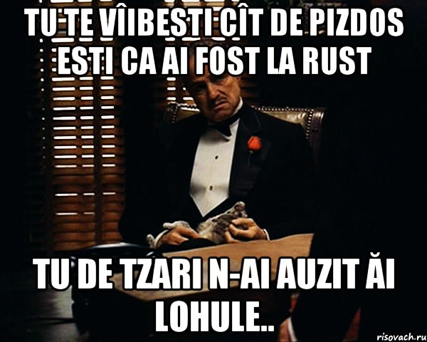 tu te vîibesti cît de pizdos esti ca ai fost la rust tu de tzari n-ai auzit ăi lohule.., Мем Дон Вито Корлеоне