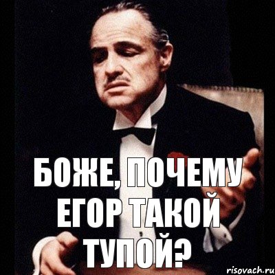 Боже, почему Егор такой тупой?