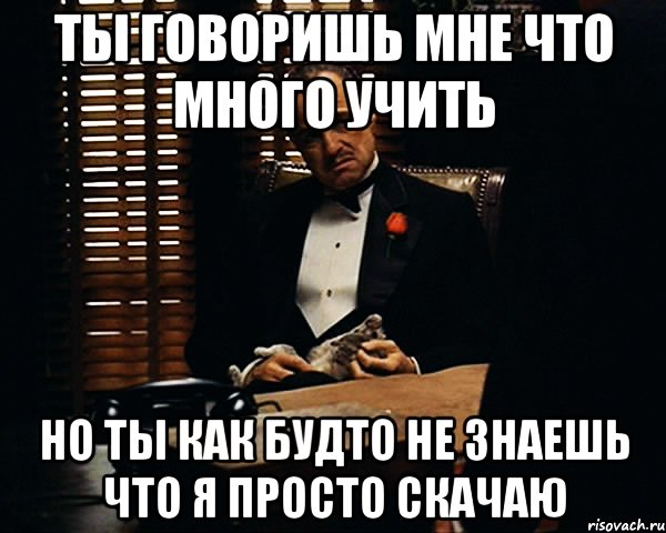 ты говоришь мне что много учить но ты как будто не знаешь что я просто скачаю, Мем Дон Вито Корлеоне