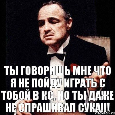 Ты говоришь мне что я не пойду играть с тобой в кс, но ты даже не спрашивал сука!!!