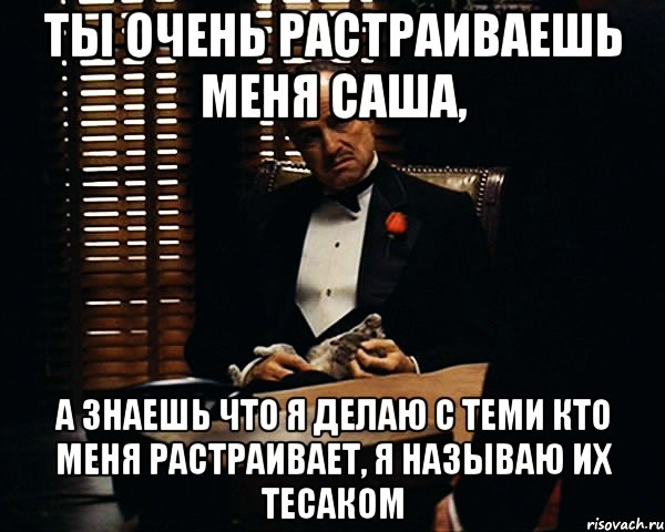 ты очень растраиваешь меня саша, а знаешь что я делаю с теми кто меня растраивает, я называю их тесаком, Мем Дон Вито Корлеоне