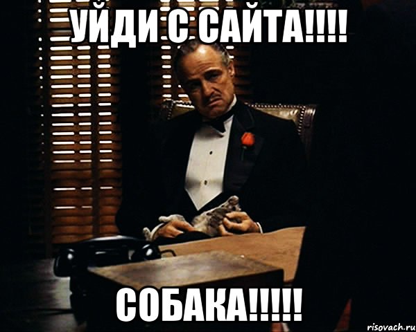 уйди с сайта!!! собака!!!