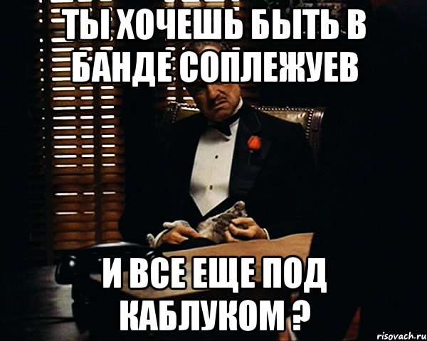 ты хочешь быть в банде соплежуев и все еще под каблуком ?, Мем Дон Вито Корлеоне