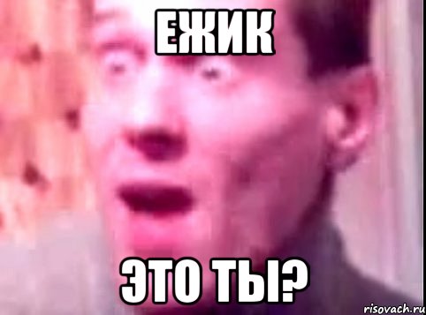 ежик это ты?, Мем Дверь мне запили