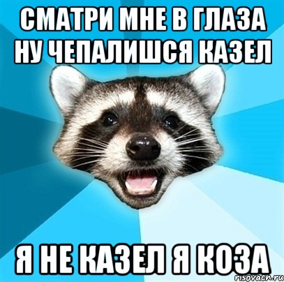 сматри мне в глаза ну чепалишся казел я не казел я коза, Мем Енот-Каламбурист