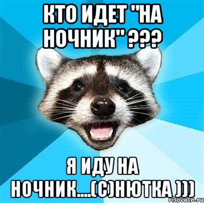 кто идет "на ночник" ??? я иду на ночник....(с)нютка ))), Мем Енот-Каламбурист