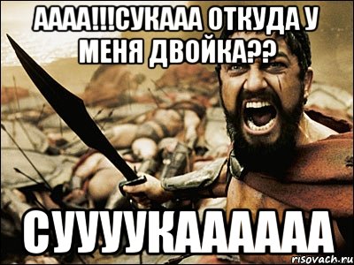 аааа!!!сукааа откуда у меня двойка?? суууукаааааа, Мем Это Спарта