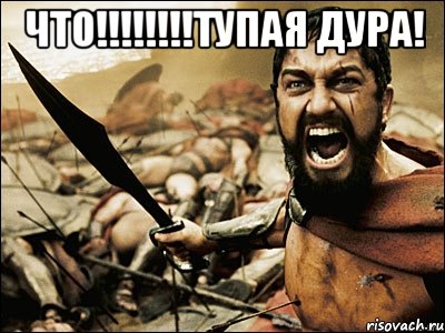 что!!!тупая дура! , Мем Это Спарта