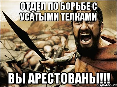 отдел по борьбе с усатыми телками вы арестованы!!!, Мем Это Спарта