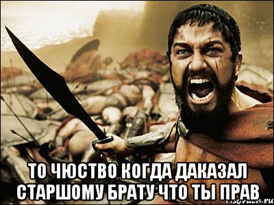  то чюство когда даказал старшому брату что ты прав, Мем Это Спарта