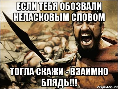 если тебя обозвали неласковым словом тогла скажи - взаимно блядь!!!, Мем Это Спарта