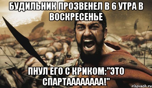 будильник прозвенел в 6 утра в воскресенье пнул его с криком:"это спартаааааааа!", Мем Это Спарта