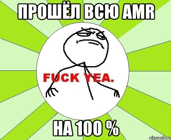 прошёл всю amr на 100 %, Мем фак е