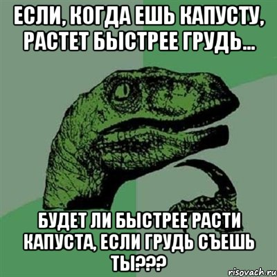 если, когда ешь капусту, растет быстрее грудь... будет ли быстрее расти капуста, если грудь съешь ты???, Мем Филосораптор