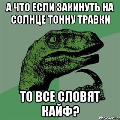 а что если закинуть на солнце тонну травки то все словят кайф?, Мем Филосораптор