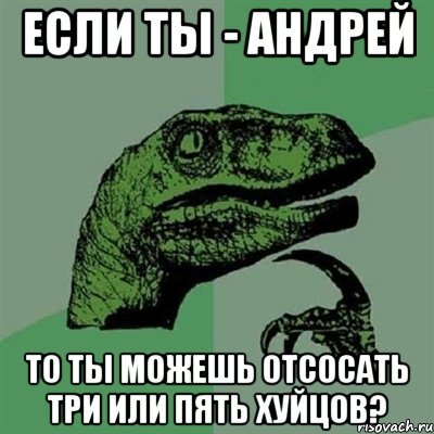 если ты - андрей то ты можешь отсосать три или пять хуйцов?, Мем Филосораптор