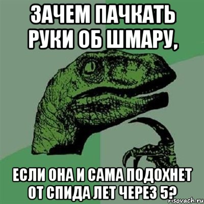 зачем пачкать руки об шмару, если она и сама подохнет от спида лет через 5?, Мем Филосораптор