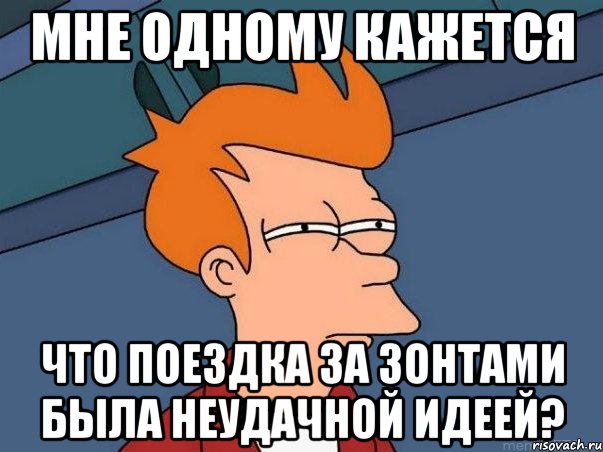 мне одному кажется что поездка за зонтами была неудачной идеей?, Мем  Фрай (мне кажется или)